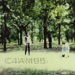 The Fucking Champs - III  LP LP